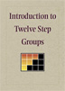 Product: Introduction to Twelve Step Groups DVD