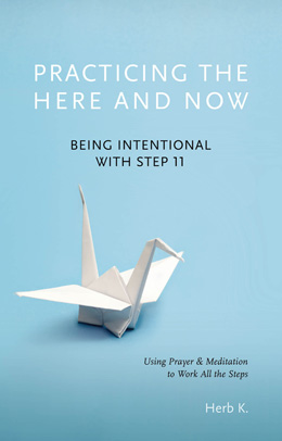 Book: Practicing the Here and Now