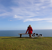 Woman sitting on bench overlooking the ocean on a clear day with two dogs by her side