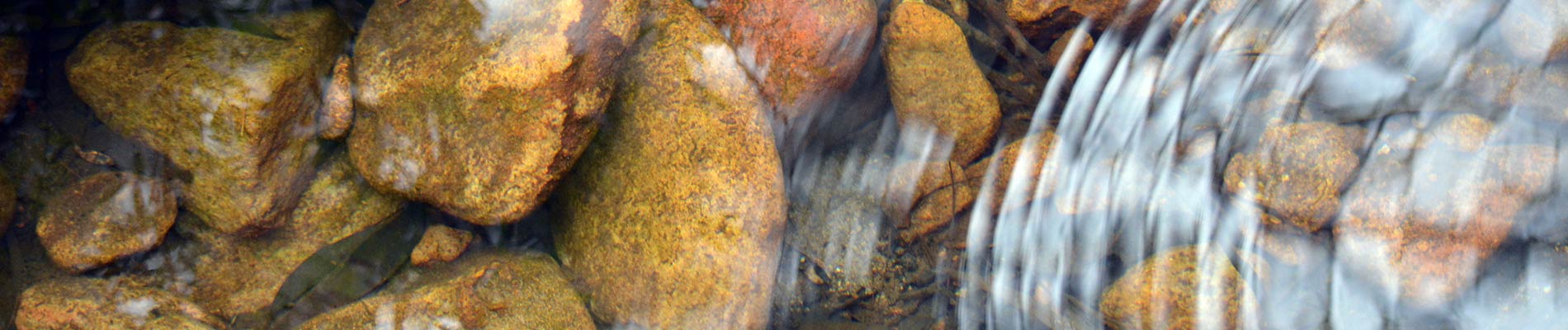Rocks viewed through shallow water with a light reflection